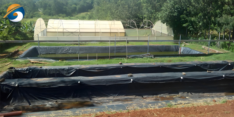 Геомембрана HDPE 1 мм Геомембрана HDPE 1 мм